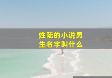 姓陆的小说男生名字叫什么