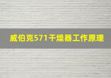 威伯克571干燥器工作原理