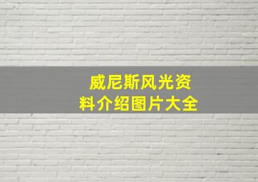 威尼斯风光资料介绍图片大全