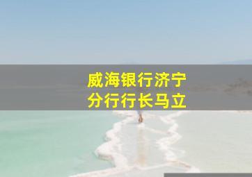 威海银行济宁分行行长马立