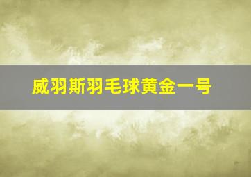 威羽斯羽毛球黄金一号