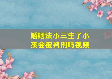 婚姻法小三生了小孩会被判刑吗视频