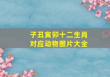 子丑寅卯十二生肖对应动物图片大全