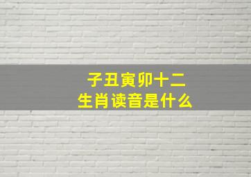 子丑寅卯十二生肖读音是什么