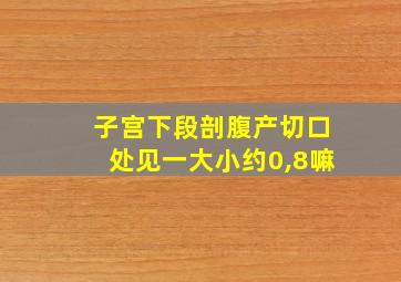 子宫下段剖腹产切口处见一大小约0,8嘛