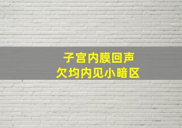 子宫内膜回声欠均内见小暗区