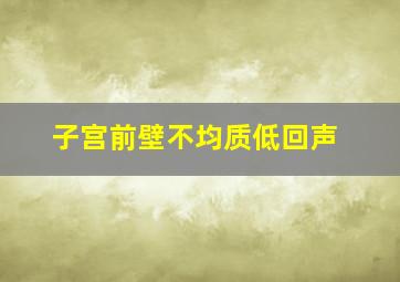 子宫前壁不均质低回声