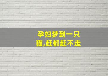 孕妇梦到一只猫,赶都赶不走