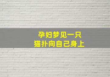 孕妇梦见一只猫扑向自己身上