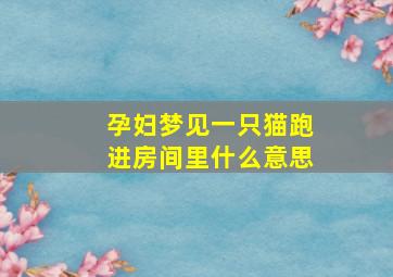 孕妇梦见一只猫跑进房间里什么意思