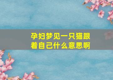 孕妇梦见一只猫跟着自己什么意思啊