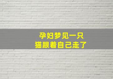 孕妇梦见一只猫跟着自己走了