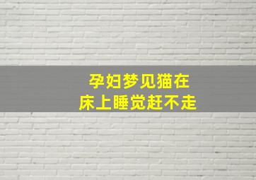 孕妇梦见猫在床上睡觉赶不走