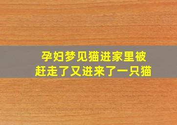 孕妇梦见猫进家里被赶走了又进来了一只猫