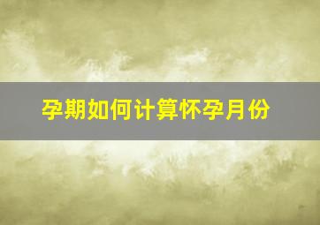 孕期如何计算怀孕月份