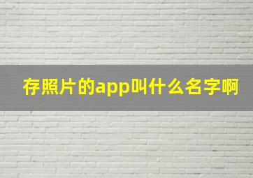 存照片的app叫什么名字啊