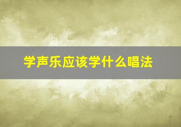 学声乐应该学什么唱法