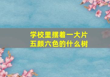 学校里摆着一大片五颜六色的什么树