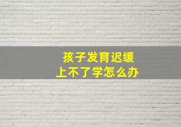 孩子发育迟缓上不了学怎么办