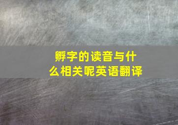 孵字的读音与什么相关呢英语翻译