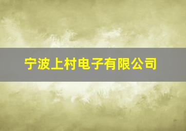 宁波上村电子有限公司