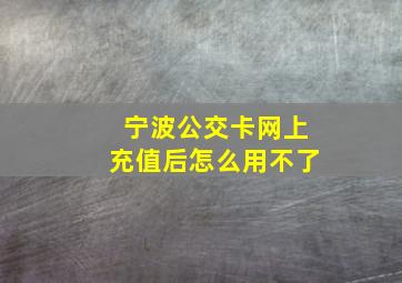 宁波公交卡网上充值后怎么用不了