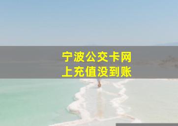 宁波公交卡网上充值没到账