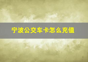 宁波公交车卡怎么充值