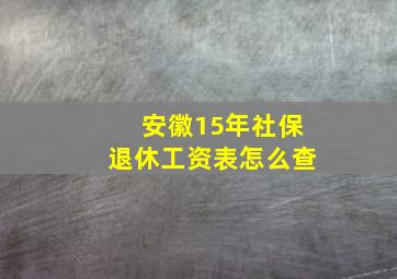 安徽15年社保退休工资表怎么查