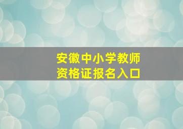 安徽中小学教师资格证报名入口