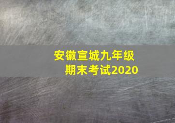 安徽宣城九年级期末考试2020