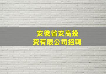 安徽省安高投资有限公司招聘