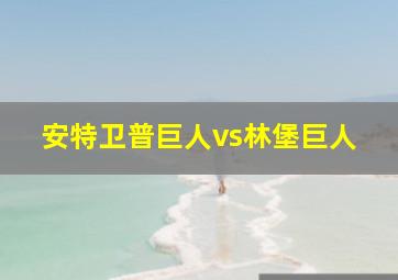 安特卫普巨人vs林堡巨人