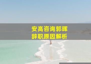 安高咨询郭晖辞职原因解析