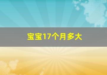 宝宝17个月多大