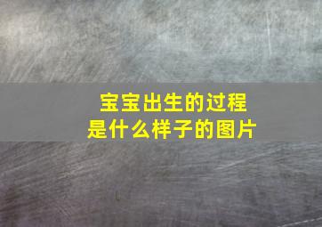 宝宝出生的过程是什么样子的图片