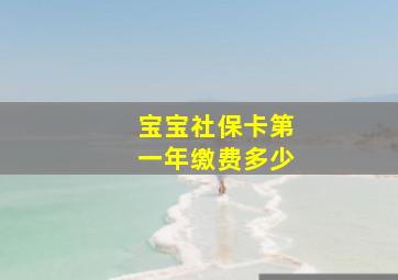 宝宝社保卡第一年缴费多少