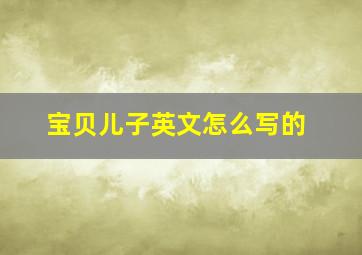 宝贝儿子英文怎么写的