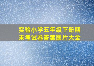 实验小学五年级下册期末考试卷答案图片大全