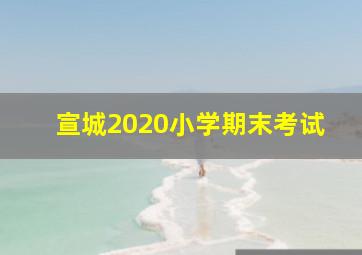 宣城2020小学期末考试