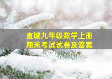 宣城九年级数学上册期末考试试卷及答案