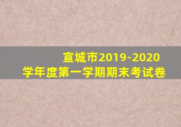 宣城市2019-2020学年度第一学期期末考试卷