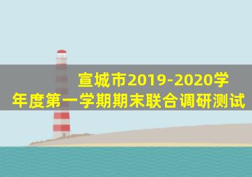 宣城市2019-2020学年度第一学期期末联合调研测试