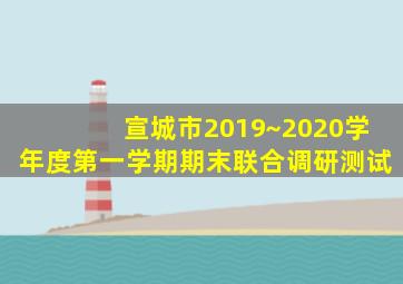 宣城市2019~2020学年度第一学期期末联合调研测试