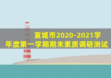 宣城市2020-2021学年度第一学期期末素质调研测试