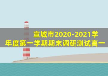 宣城市2020-2021学年度第一学期期末调研测试高一