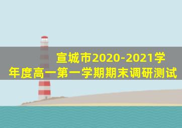 宣城市2020-2021学年度高一第一学期期末调研测试