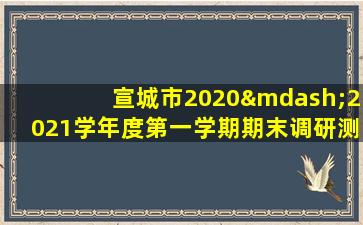 宣城市2020—2021学年度第一学期期末调研测试