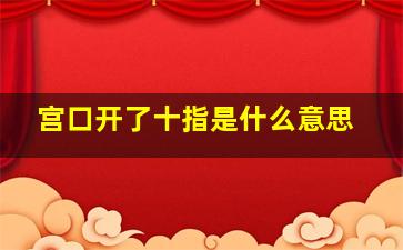 宫口开了十指是什么意思