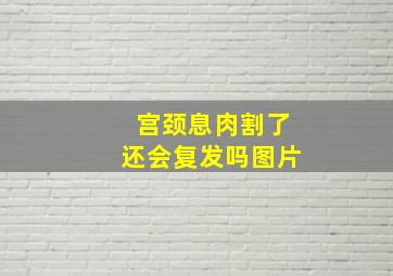 宫颈息肉割了还会复发吗图片